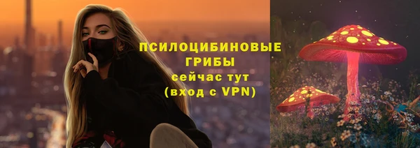 эйфоретик Балахна