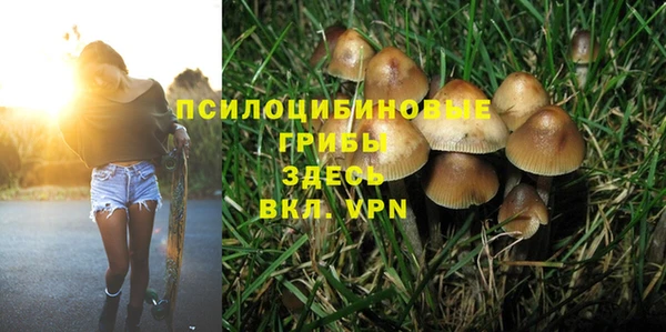 эйфоретик Балахна