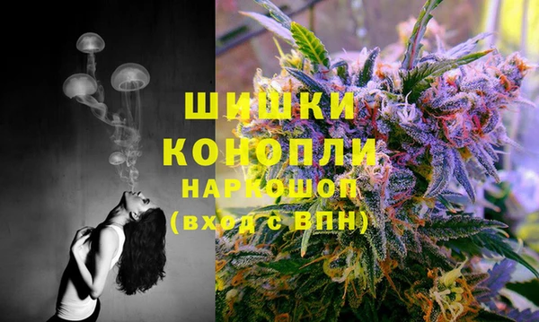 эйфоретик Балахна